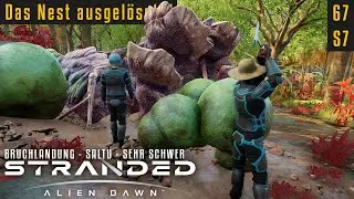 Das Nest ausgel&ouml;scht! | Stranded: Alien Dawn 07.67 | Saltu Jungle | Sehr Schwer