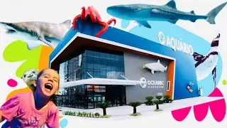 MELINA ENCONTROU UM TUBAR&Atilde;O NO AQU&Aacute;RIO | Melina Show 