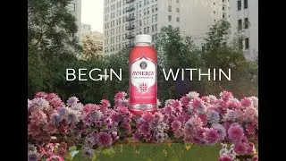 SYNERGY Raw Kombucha &ndash; Begin Within &mdash; GT&rsquo;s Living Foods