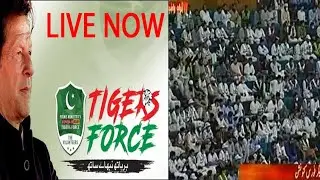 LIVE | PM Imran Khan speech | Tiger Force convention today 17-Oct-2020