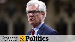 Beyond NAFTA: Diversifying Canada's trade | Power & Politics