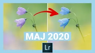 [MAJ LIGHTROOM 2020] Comment changer la couleur localement