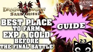 BEST PLACE TO FARM EXP & GOLD Before The Final Battle - Walkthrough Dragons Dogma Dark Arisen - 23