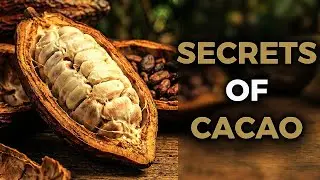 CHOCOLATE SECRETS: The Global Journey of Cacao | Episode 7: World Food Stories