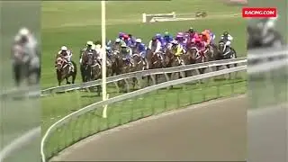 Australian Racehorse MIGHT AND POWER Feature Races