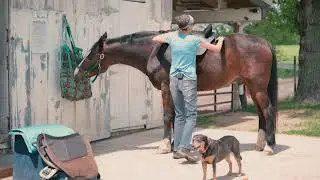 How to fit a HIDALGO saddle on multiple horses!
