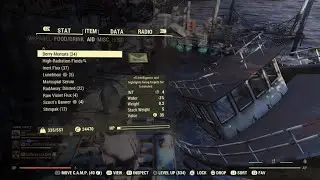 Fallout 76: Healing Death 