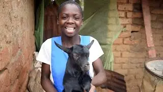 #DreamWithHer: A Girl and Her Goats