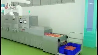 Tunnel type inorganic salt dryer