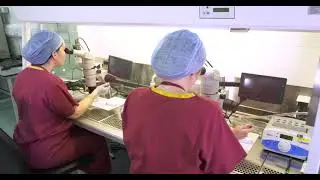 Behind the Scenes &ndash; Social Cut