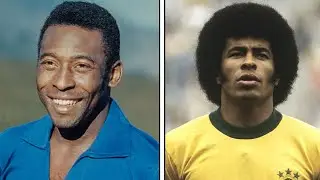 Tragické životy 12 brazilských reprezentantů po mistrovství světa v roce 1966.