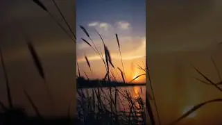 Golden Words: Inspirational Sunset Quotes to End Your Day#quotes#motivation#sunset#shorts#viral