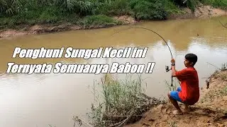Ternyata Sungai yang Kecil ini Sarangnya Baung BABON || RIVER CATFISH HUNTER