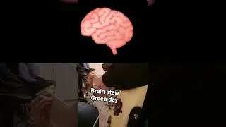 brain stew #band #guitarcover #greenday #billiejoearmstrong