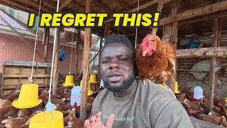 I Made a Big Mistake on My Poultry Farm & It Nearly Wiped out my Flock! Newcastle Outbreak