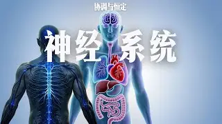 神经系统｜初二科学第3章・协调与恒定｜