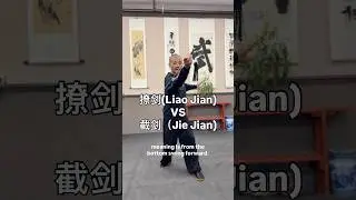 撩剑(Liao Jian) VS 截剑（Jie Jian) #taichi #太极拳 #taijiquan #taichisword #sword #wushu #kungfu #功夫 #武术