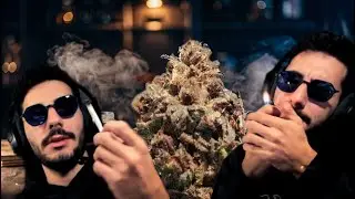 CATANDO MI CULTIVO - Capitulo 1