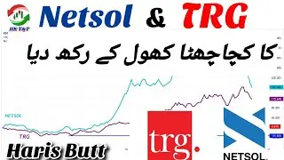 Netsol & TRG Fundamental, Technical, Inside Detailed Analysis by Haris Butt || PSX