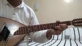عزف سعيد الوئام