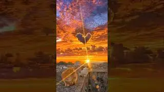 DONT CLICK ON THE SOUND! #shorts #art #sun #artwork #butifyoucloseyoureyes #sunset #heart #fyp #like