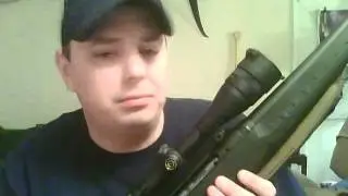 Walmart guns