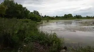 Old Plank road trail August 2020  West of School House Road