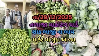 માર્કેટ માં ગુંદા આવ્યા તળાજા માર્કેટિંગ યાર્ડ શાક ભાજી ના ભાવ 
