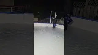 Backyard Rink Maintenance: Getting Leaves #icemelting