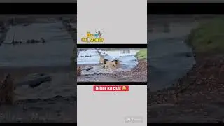 Bihar ka pull 😄😄 #funny #video #trending #shorts