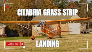 Grass strip landing in a Citabria