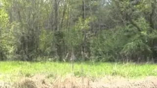 Delafield WI Real Estate for Sale