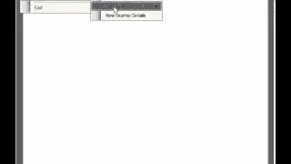SAP® Explorer & Proxy Generator - Manual Activation Step by Step