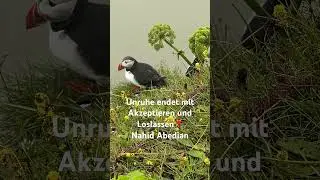 ⭐️ Unruhe endet mit Akzeptieren und Loslassen🫶🏼 Nahid Abedian