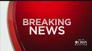 5-Year-Old Boy Attacked By Coyote In Arlington