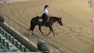 Sheza hot impulse  reserve european champion amateur westernriding 2025 