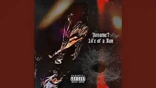 Life Of A Gun