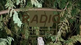 Future   Poppin Tags (OFFICIAL AUDIO)