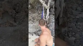 Страшная обезьяна