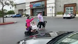 Service Dog Public Access Test PAT Psychiatric Service Dog Partners #servicedog #servicedogtraining