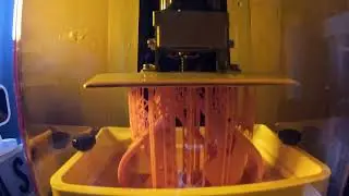 Yet Another Order Printer and Filled In The Week #creality #3dprinted #creality3dprinter #halot