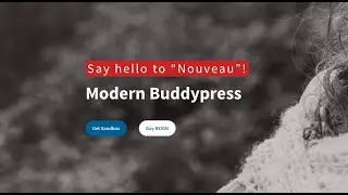 BuddyPress Demo With Reign Theme | Reign BuddyPress Nouveau&nbsp;Theme | WordPress Social Network Theme