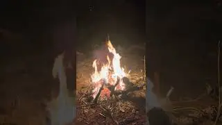 Rezo Fogo Sagrado Xamanismo Ancestral S&eacute;timo Universo