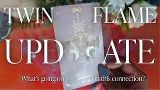 Your Twin Flame/Divine Counterpart Connection 💗 What You Need To Know 💞 Tarot Pick-A-Card