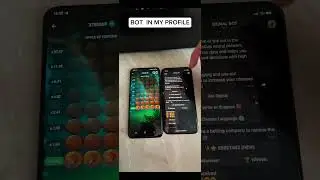 The BIGGEST APPLE FORTUNE Win Ever (Hack) #appleoffortune #1xgames #1xbet