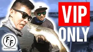 BARRAMUNDI FISHING in MALAYSIA FARM! VIP ONLY (Featuring Facepalm Fishing)