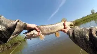 Ультралайт. Yo Zuri L   Minnow 44 - универсальный воблер.
