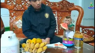 Monkey Sam & Khai's days together