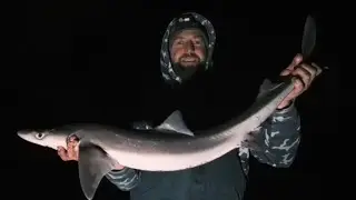 spurdog fishing in the highlands of Scotland 