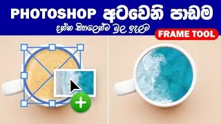 photoshop frame tool | Photoshop sinhalen | Photoshop Beginner Course  Part 08